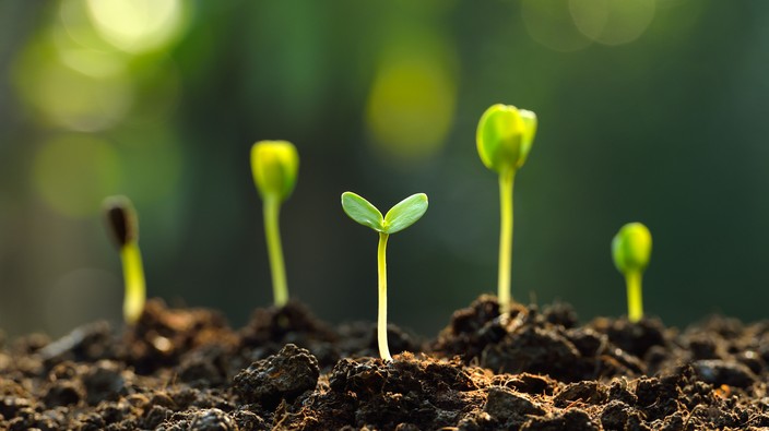 Biodynamic gardening: Beyond seeds and dirt
