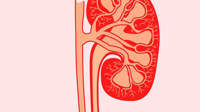Urine test predicts kidney disease