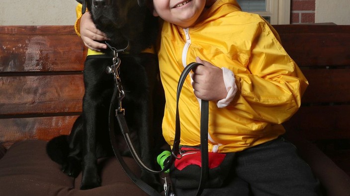 Holding onto Hope: CNIB Buddy Dog helps 8-year-old navigate his world