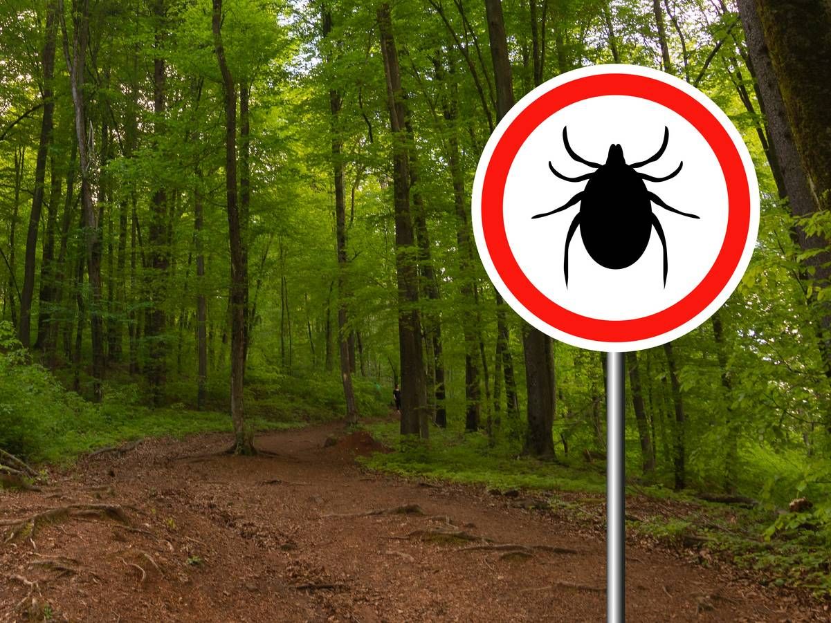 With the weather warming up, it's important to know the facts about ticks.