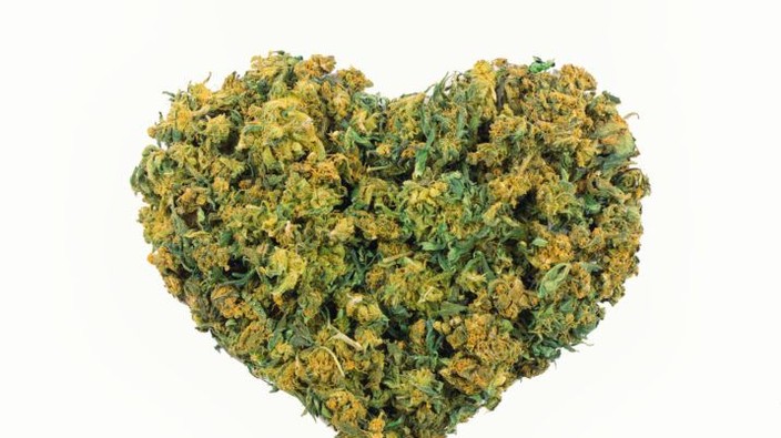 Analysis: Cannabinoids not linked to 'serious cardiovascular effects'