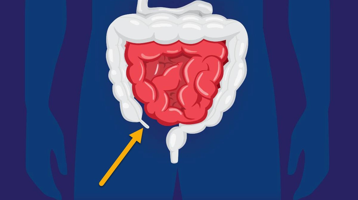 Know your body: What's the point of the appendix? | Healthing.ca