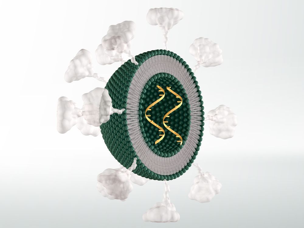 the covid-19 mrna vaccine from pfizer-biontech used technology developed in b.c. by acuitas therapetuics. the green half-sphere is a cutaway view of the lipid nanoparticle, 1/1000th the width of a human hair. which protects the mrna, represented by yellow helices. the white 'clouds' are a chemical added to improve efficiency.