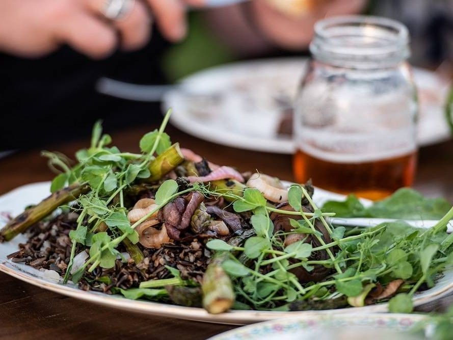 A salad made with fresh baby lettuces and edible blooms.