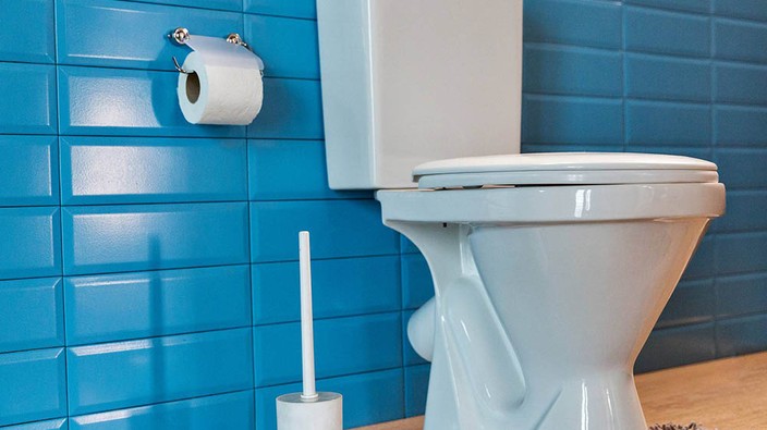 Smart toilets take pictures of your poop and help with diagnosis