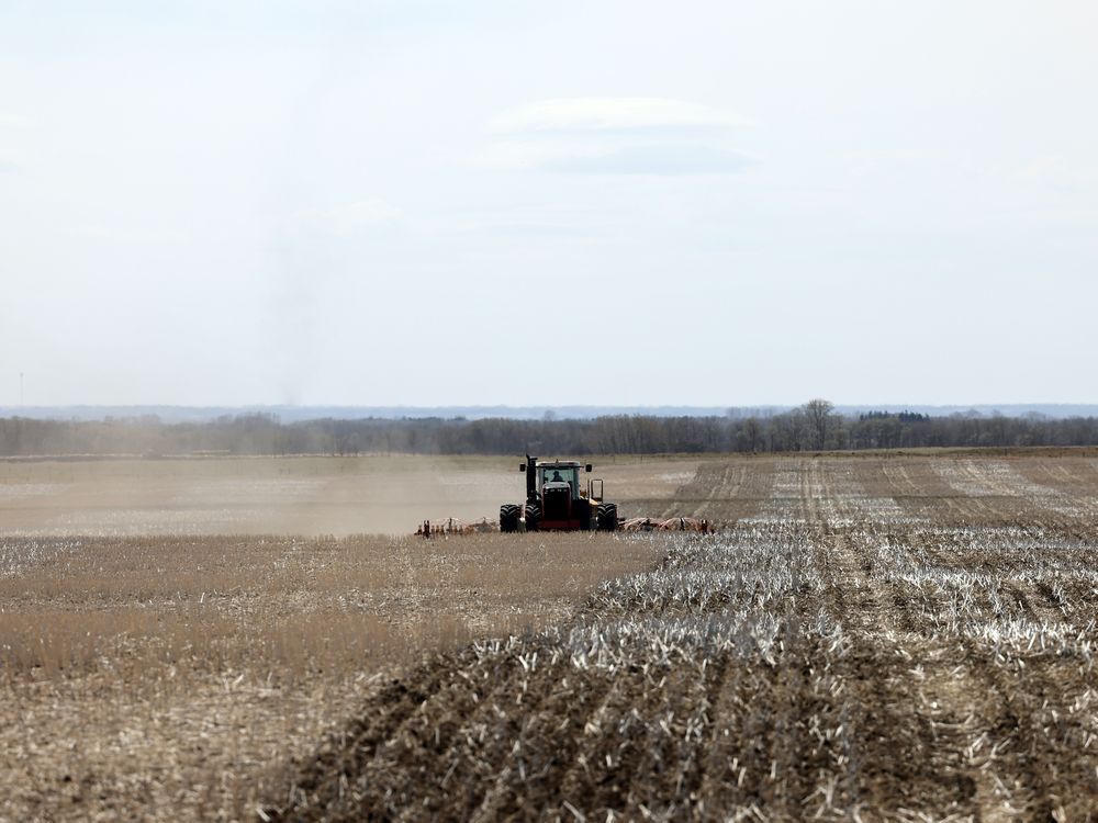 steve beros seeds some wheat in his field near lipton northeast of regina on may 4, 2021.