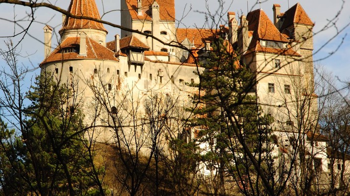 Dracula's castle and other interesting COVID vaccine centres