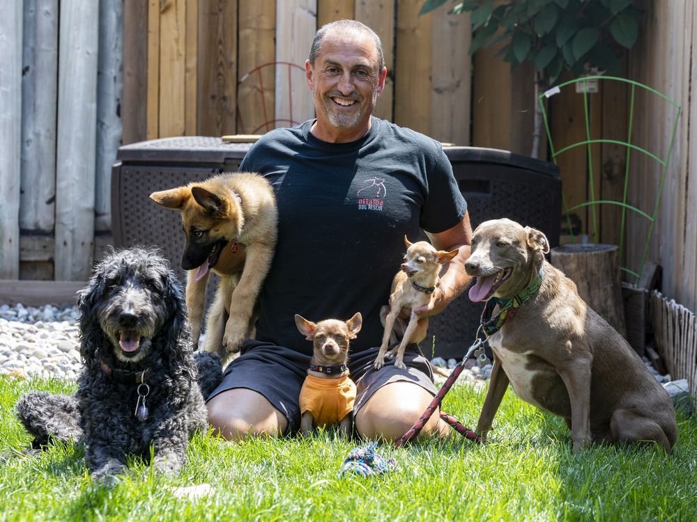 Ottawa Dog Rescue adoption director Mike Gatta with his own dogs The Dood, 11 years.