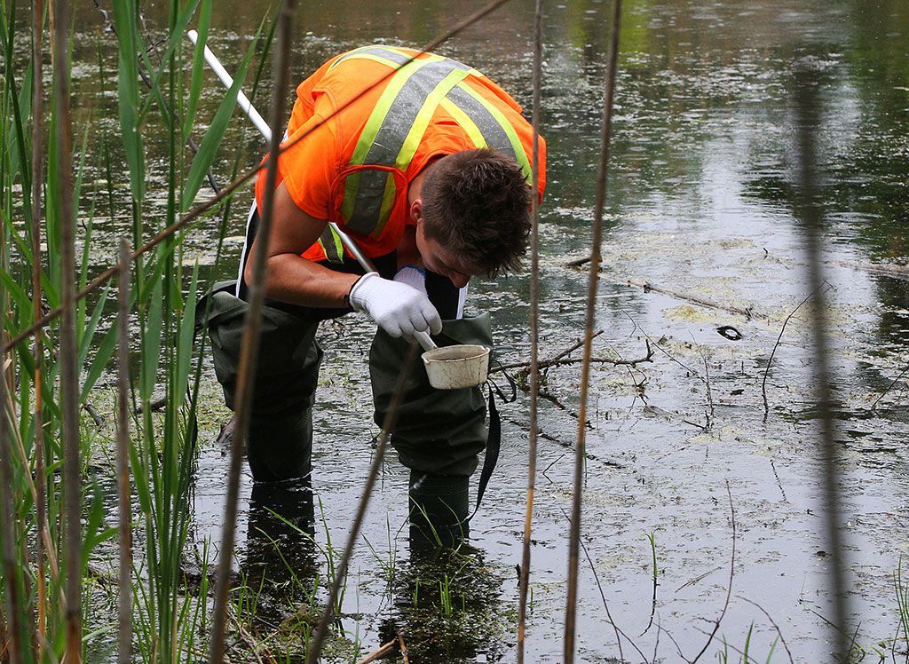 jarrett sorko checks for mosquito larvae at ojibway nature centre in may 2015, where dr. wajid ahmed, associated medical officer of health (acting) for windsor-essex county health unit held a press conference to bring awareness to west nile virus.