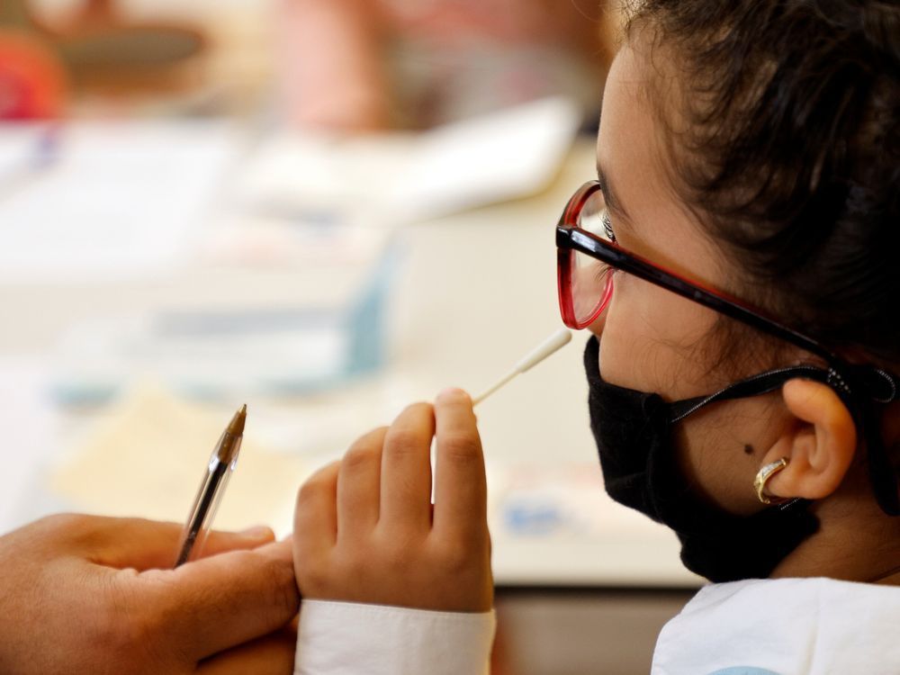 a girl performs a coronavirus (covid-19) rapid antigen test in a primary school, as austrian schools open for pupils after summer holidays, in vienna, austria, september 6, 2021.