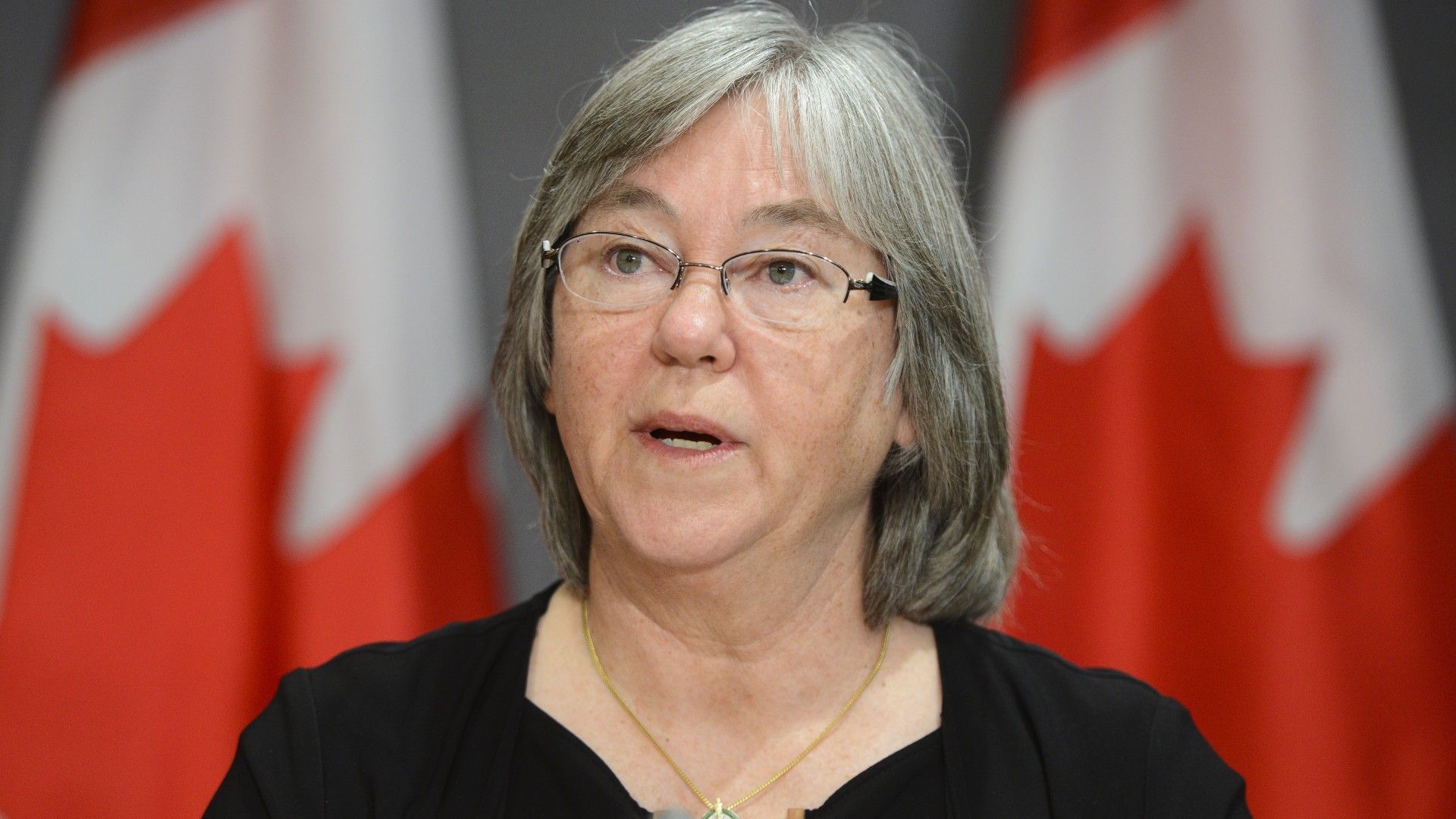 Deb Schulte, former Minister of Seniors, speaks during a press conference in 2020. (Sean Kilpatrick / The Canadian Press)