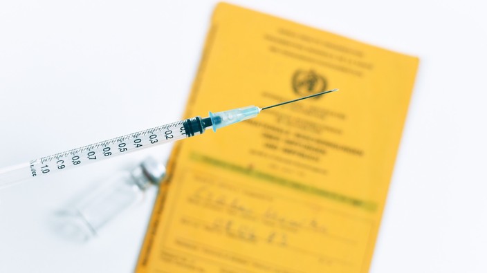 Feds, provinces agree on vaccine travel passport