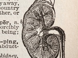 Kidney transplant infection