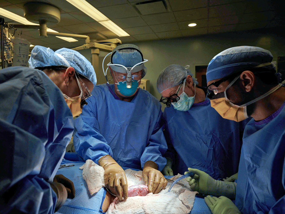 the brain-dead and recently deceased could theoretically be sustained on ventilators, to keep the bodies “warm, respiring, pulsating,” one researcher wrote nearly half a century ago.