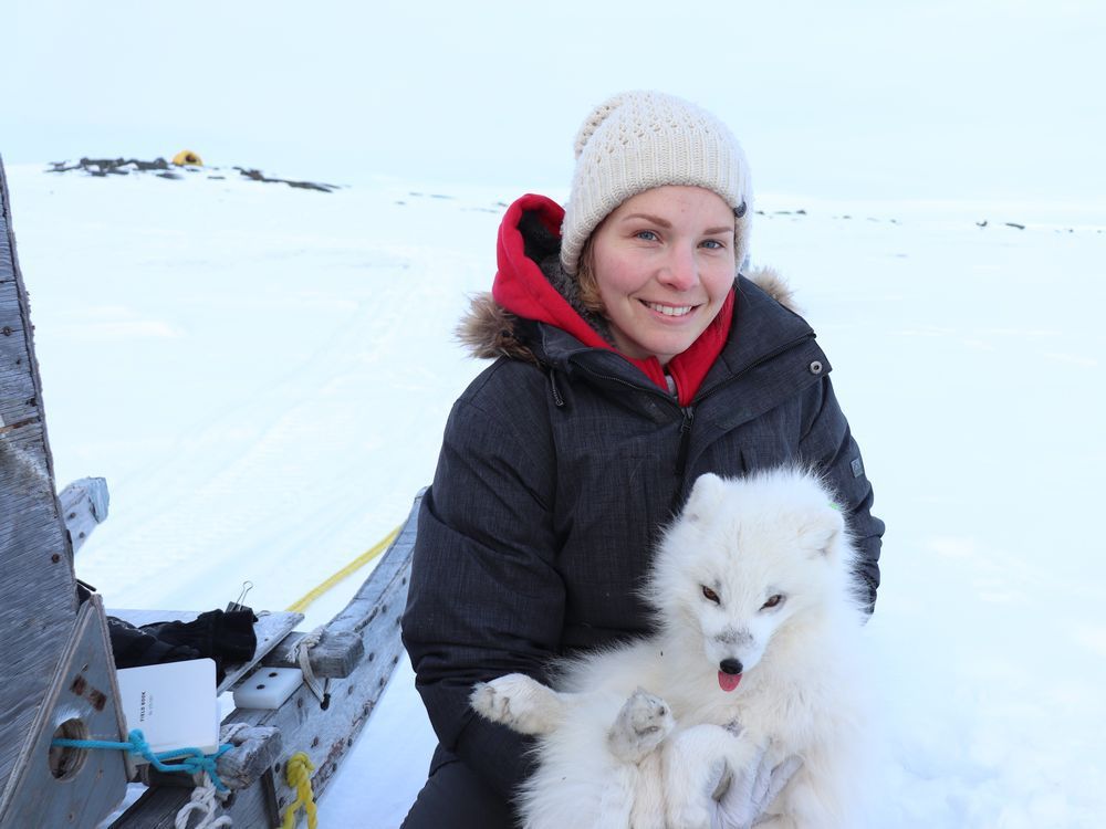 Western College of Veterinary Medicine PhD student Kayla Buhler works with wildlife to identify pathways of disease transmission in the Canadian Arctic.