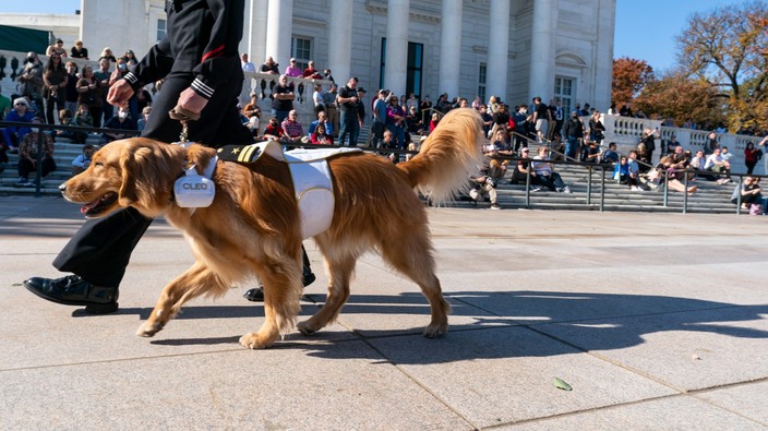 More service dogs will be trained for veterans with PTSD