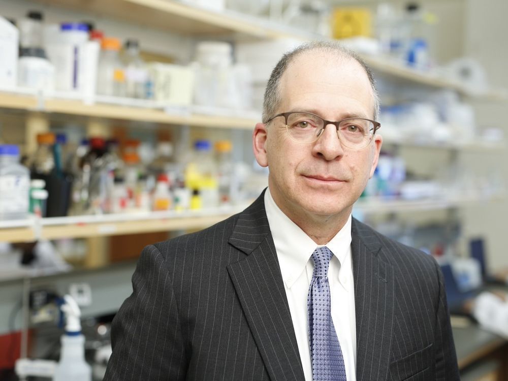 Dr. Michael Levin is Saskatchewan multiple sclerosis clinical research chair and a professor in the U of S College of Medicine.