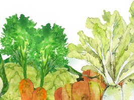 Watercolor vegetables