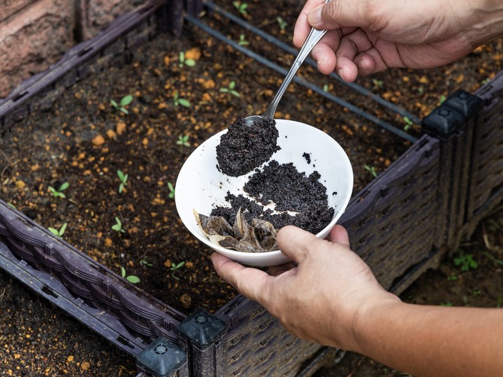  Did you know spent coffee grounds can be used for flour making as well as compost for compost? GETTY