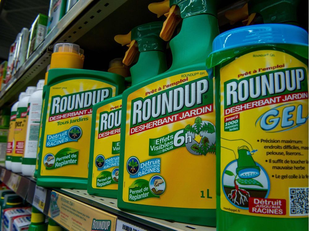 in 2015, the international agency for research on cancer (iarc) working group of experts classified glyphosate (roundup) as a probable human carcinogen, but that finding has been challenged by numerous other health authorities.