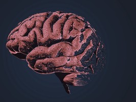 Brain neuro growth on black