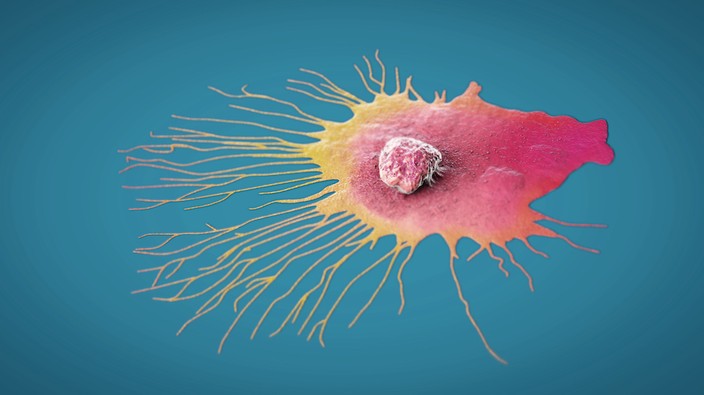 Cancer cells move through the body with tentacles, like a predator hunting prey