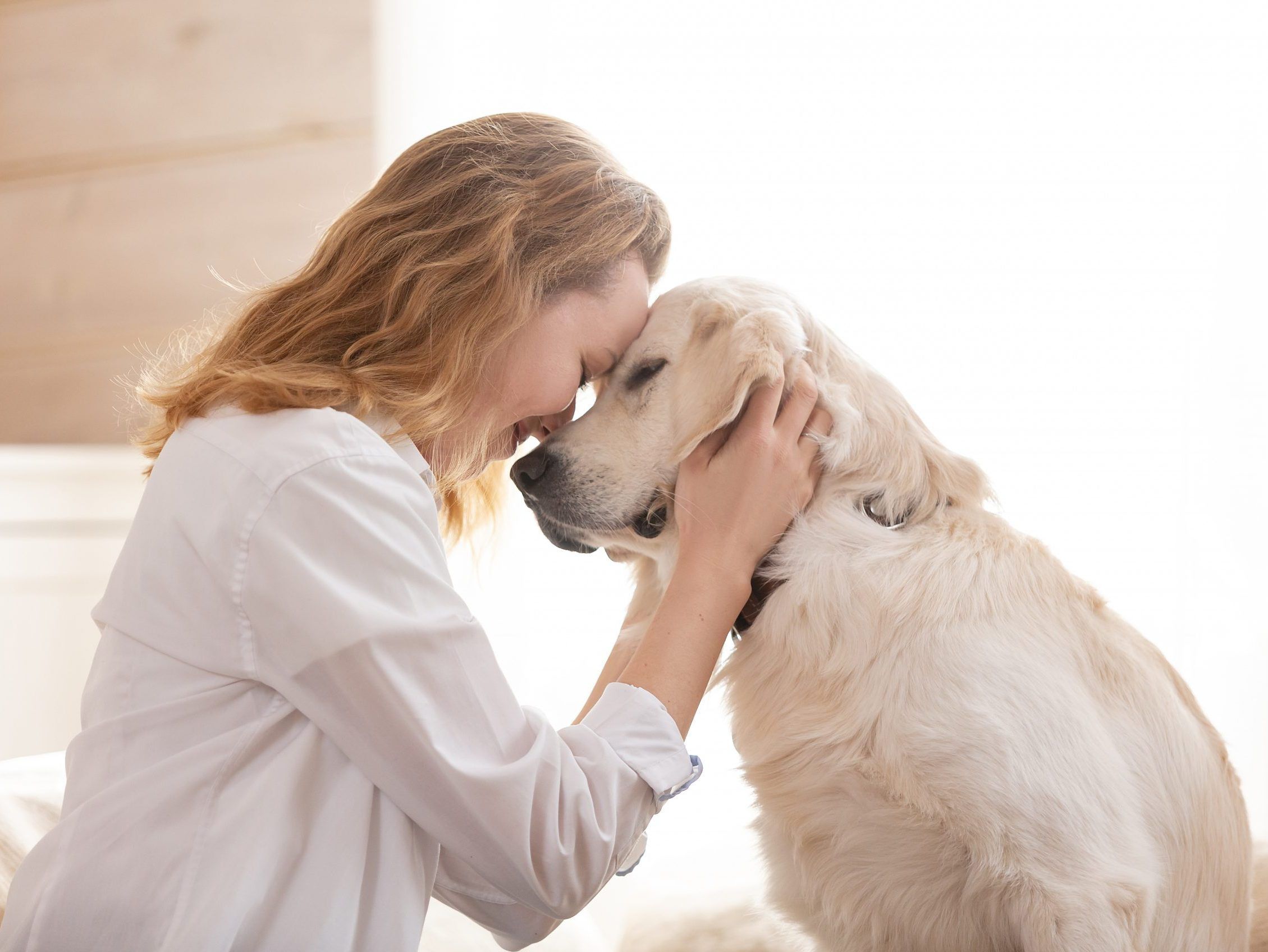 woman hugging her beloved big white dog. Animal communication concept