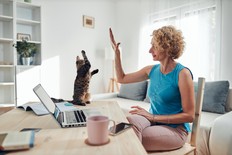 Woman working from home on a laptop / notebook with cat pet with her.