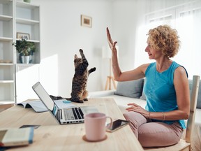Woman working from home on a laptop / notebook with cat pet with her.