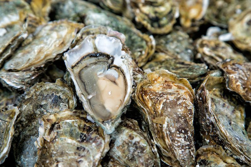A norovirus outbreak has been linked to oysters from the Deep Bay and Union Bay areas off eastern Vancouver Island. GETTY