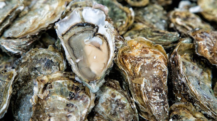 Norovirus outbreak linked to B.C. oysters