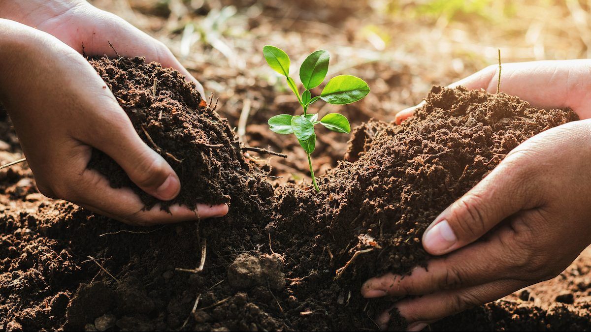 depending on the location of your garden, there may be toxins in your soil that you should protect yourself from. getty