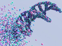 3d illustration DNA Molecule