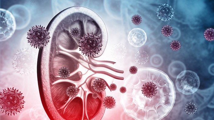COVID-19 has ‘strong affinity’ for damaging kidney cells
