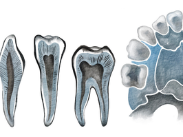 Watercolor hand drawing jaw with teeth collection set