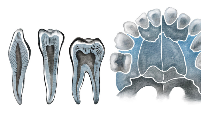 The Ontario Dental Association shares most common oral health mistakes