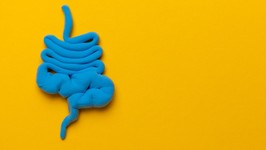 bowel model on yellow background. irritable bowel syndrome. copy space for text