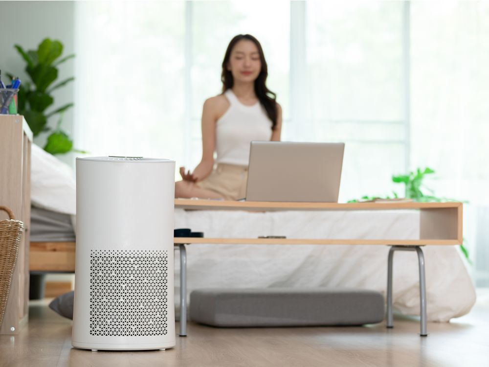 an air purifier with hepa filters can capture 99.95 per cent of dust, pollen, smoke and other pollutants.