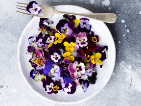 Edible flowers, field pansies, violets on white plate. Grey background. Top view.