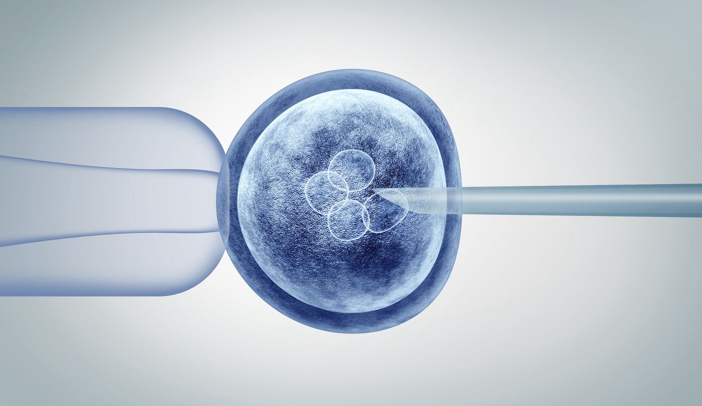 IVF and egg freezing both involve retrieval of eggs, but in IVF, eggs are then fertilized with sperm in a lab, and the resulting embryos are implanted into the uterus. GETTY