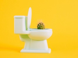 Sharp cactus in miniature toilet pot on yellow background copy space