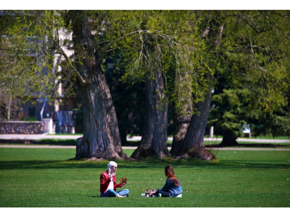 the proposed banning of smoking and vaping in calgary's public parks is ill-advised, says columnist rebecca haines-saah, an associate professor in community health sciences at the cumming school of medicine, university of calgary.