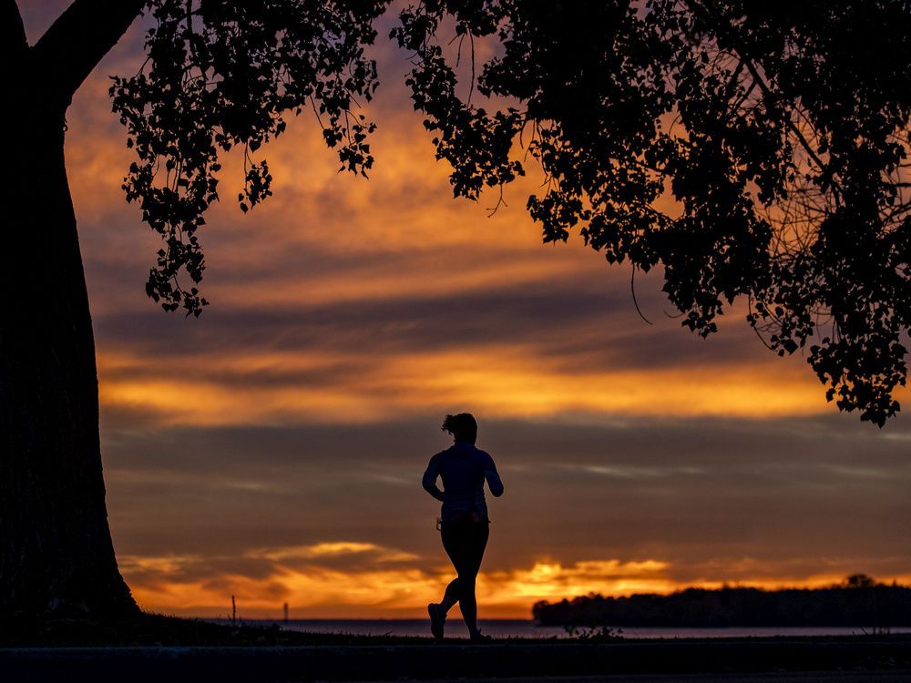 if you want to lower the risk of chronic disease, your best bet is to pay equal attention to exercising and eating well, jill barker writes.