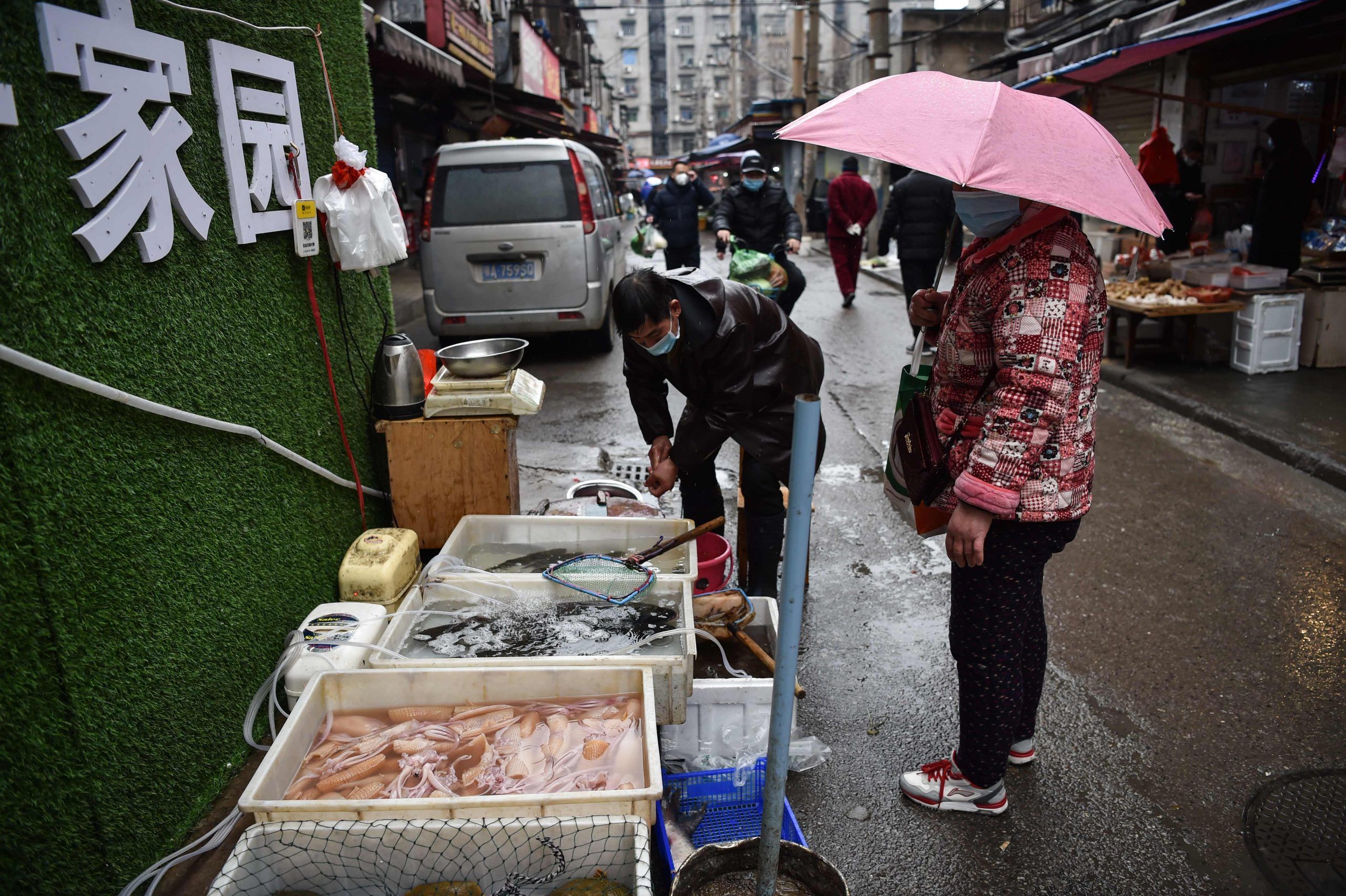 A masked vendor sells fish and turtles at a market in Wuhan where the coronavirus was discovered on January 24 2020. - The death toll in China's viral outbreak has risen to 25, with the number of confirmed cases also leaping to 830, the national health commission said. (Photo by Hector RETAMAL / AFP) (Photo by HECTOR RETAMAL/AFP via Getty Images)