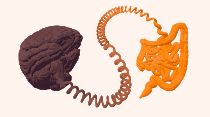 Alzheimer’s disease and gut disorders share genetic link: study