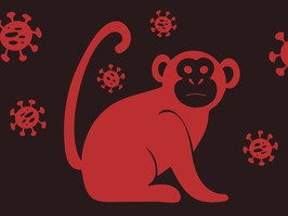 Vector illustration of monkey icon with virus cells. new Monkeypox 2022 virus - disease transmitted by monkey, ape in simple flat style isolated on white background