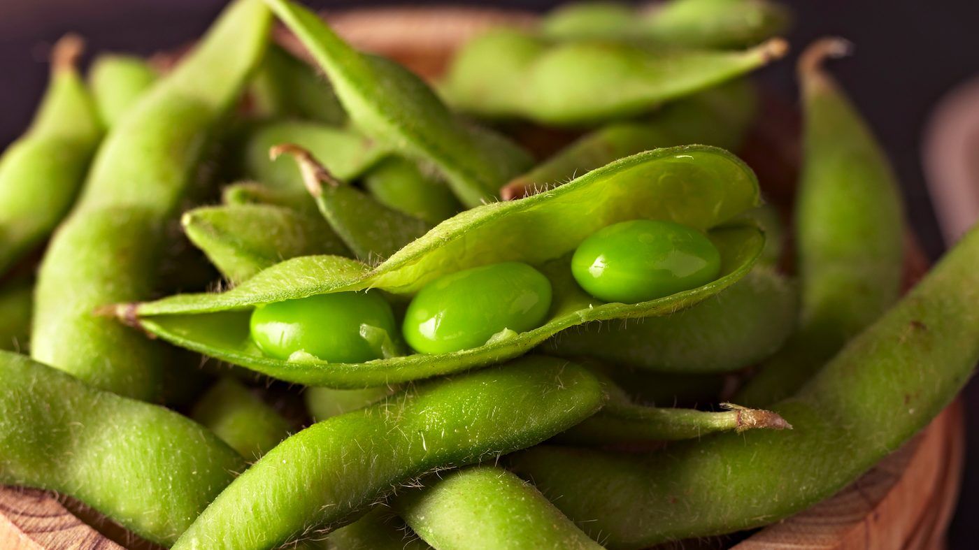 Edamame takes approximately 90 to 150 days to be ready for harvest, according to master class. GETTY