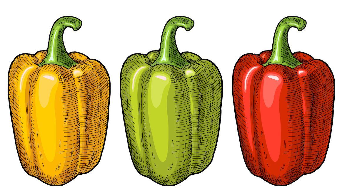 Bell peppers are great sources of vitamin A and C, as well as potassium, fibre, iron, and folate. GETTY