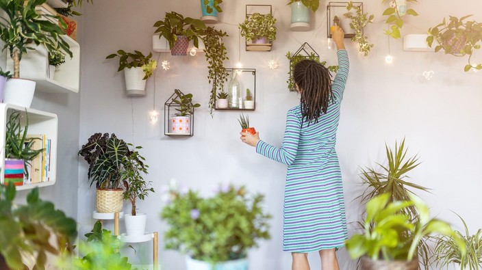 'Nature's life support system': Fake or real, houseplants are great for mental health