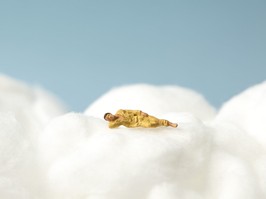 miniature man sleeping on the clouds